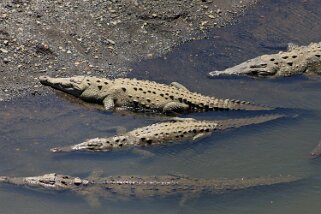 Rio Grande de Tarcoles